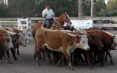 Con Montero & Fernández, la agilidad pautó la pista del Campanero.