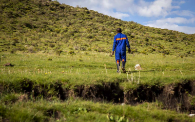 En Lesoto -sur de África- cuidan el suelo y los pastizales, saben que ellos y las generaciones futuras los necesitarán.
