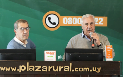 Plaza Rural ajustó valores, el remate continúa hoy.