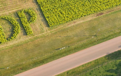 Gustavo Grobocopatel sobre ADP: “Una gesta oriental. Orgullo de haber sido parte”