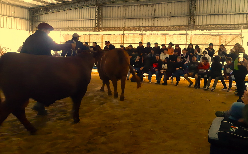 Expo Prado. Se realizó el primer encuentro agro para jóvenes, creando conciencia agropecuaria.