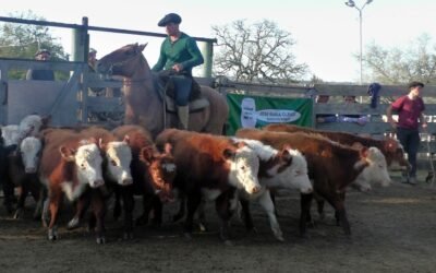 Con José María Clavijo Negocios Rurales, El Soldado mostró la realidad del mercado.