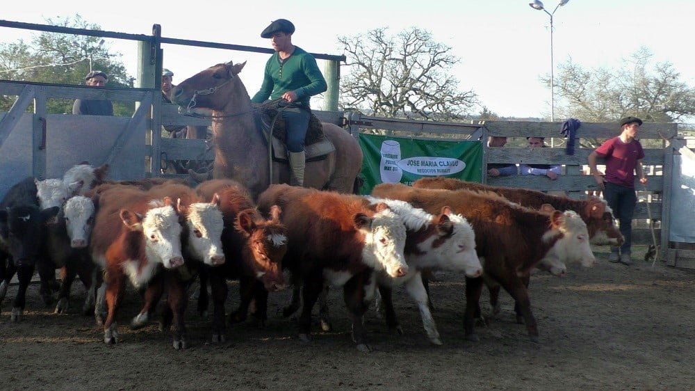 Con José María Clavijo Negocios Rurales, El Soldado mostró la realidad del mercado.