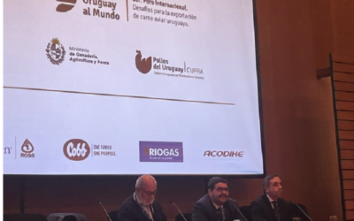 “Uruguay debe estar en alerta porque están sucediendo hechos que no van a contribuir a la solidez de las empresas”.