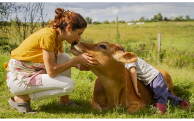 Concurso fotográfico El Tambo 2023.