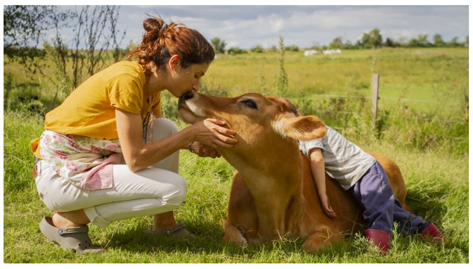 Concurso fotográfico El Tambo 2023.