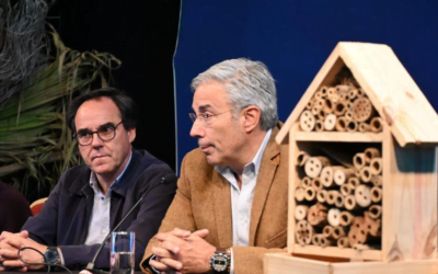 Escuelas del interior recibirán hoteles de polinizadores.