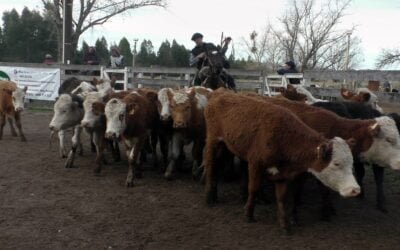 Con Montero & Fernández: bastante más animada la pista del Campanero.