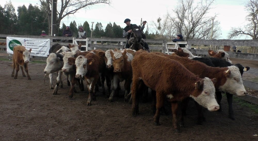 Con Montero & Fernández: bastante más animada la pista del Campanero.