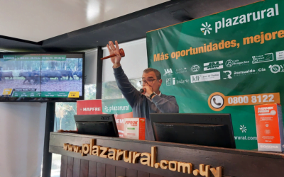 100 % de ventas en Plaza Rural.