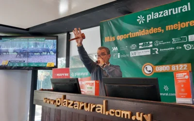 100 % de ventas en Plaza Rural.
