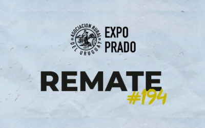 Lote 21 ajustó valores.