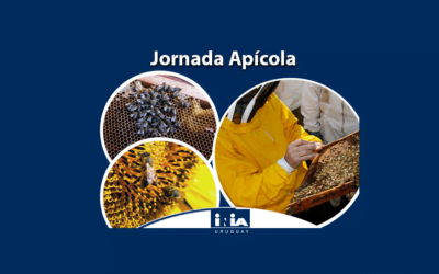 Apicultura en INIA: control de varroa, nutrición, propóleos y ambiente.
