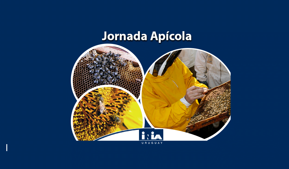 Apicultura en INIA: control de varroa, nutrición, propóleos y ambiente.