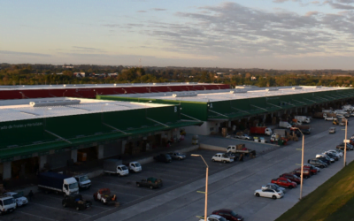 Situación y perspectivas del mercado de frutas y hortalizas.