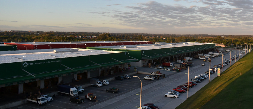 Situación y perspectivas del mercado de frutas y hortalizas.