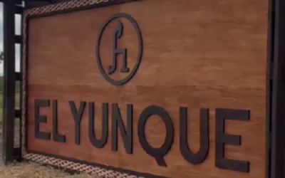 Megaagro vendió los toros de El Yunque.