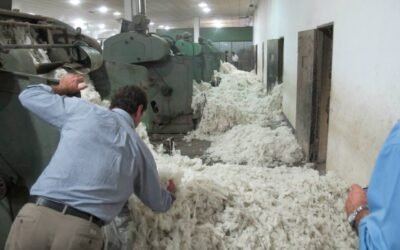 Vuelve a bajar el Indicador del Este.