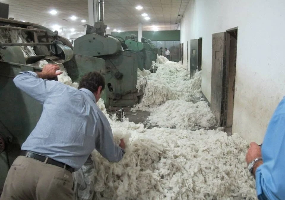 Lana: la semana previa al receso de Pascuas finalizó con un mercado de demanda firme.