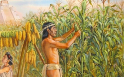 La agricultura comenzó por múltiples factores, uno de ellos una explosión cósmica.