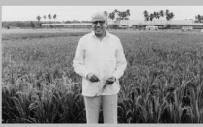 Saludando al Dr. Mankombu Sambasivan, el padre de la revolución verde de la India.