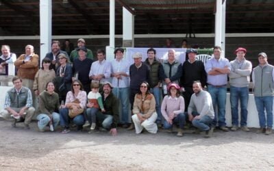 Jaso & Jaso y Daniel Dutra con los toros de San Gerardo.