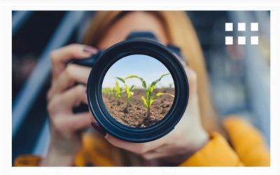 Hoy, en Expo San Carlos, exposición de Valle Verde Serkan Semillas y Agroenfoque.