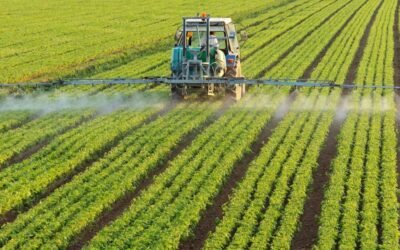 En julio comienza a regir los aranceles que Europa puso a los fertilizantes rusos.