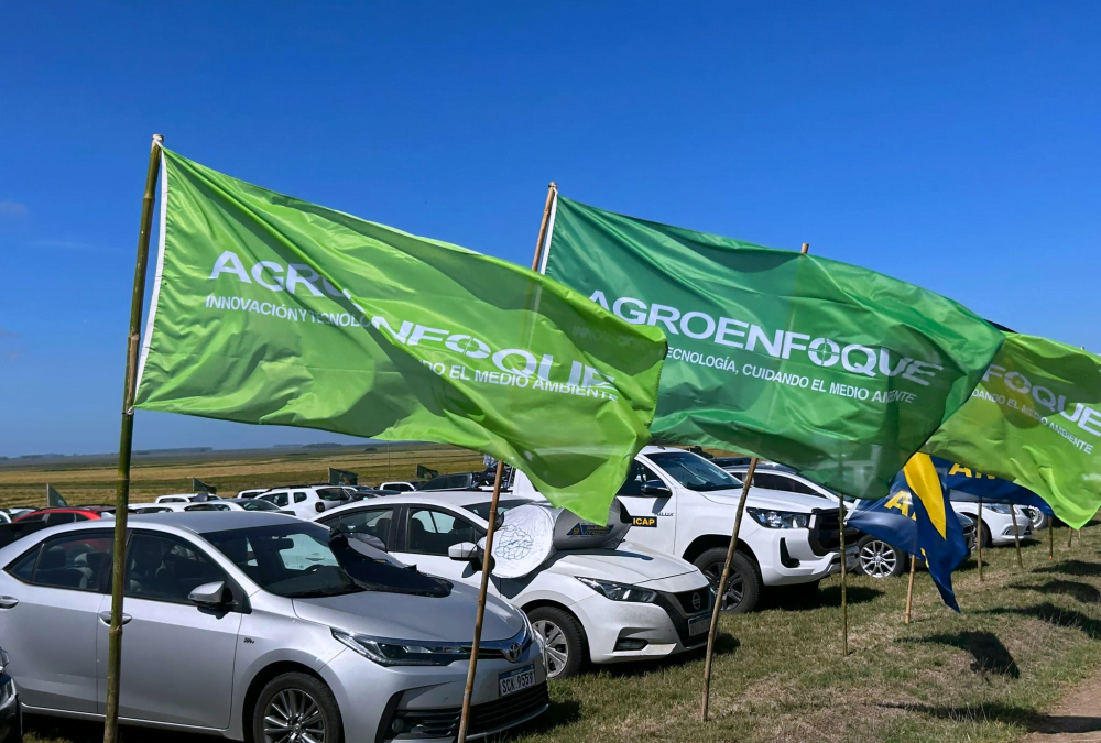 Es hoy. Jornada sobre pasturas y forrajes de Agroenfoque.