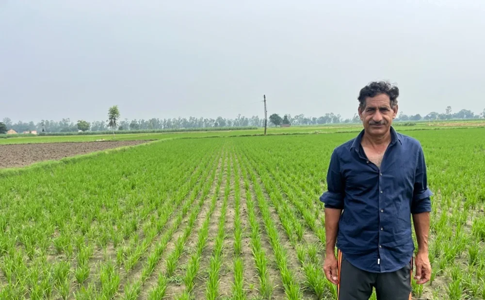 El Niño impactará en las cosechas de India.