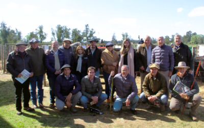 Británicas, “un remate de elección”, dijo Joaquín Falcón de Romualdo & Cía.