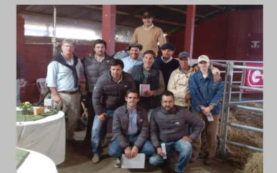 Muy buena venta de Don Jacinto y La Tapera, con Zambrano.