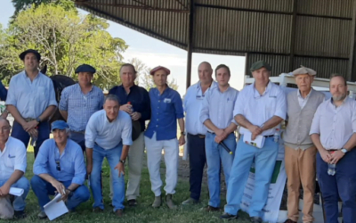 “Muy buen remate” de Romualdo, los Hereford de Rincón de Francia y Manguera Azul.