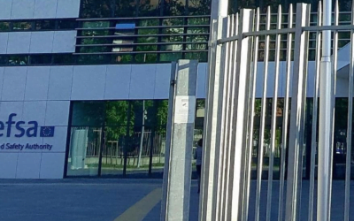 ¿Contradicción? La Unión Europea autoriza transgénico como alimento, pero no su cultivo.