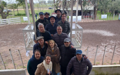 Ventas totales de los Angus de cabaña La Campana.