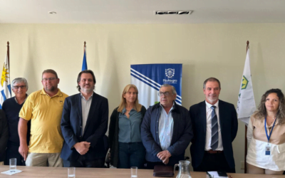 El lanzamiento de la zafra de miel será el 20 de octubre con la presencia del presidente Lacalle.