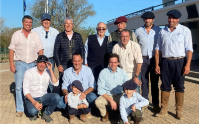 Rematazo de Romualdo, los toros de Loma Azul.