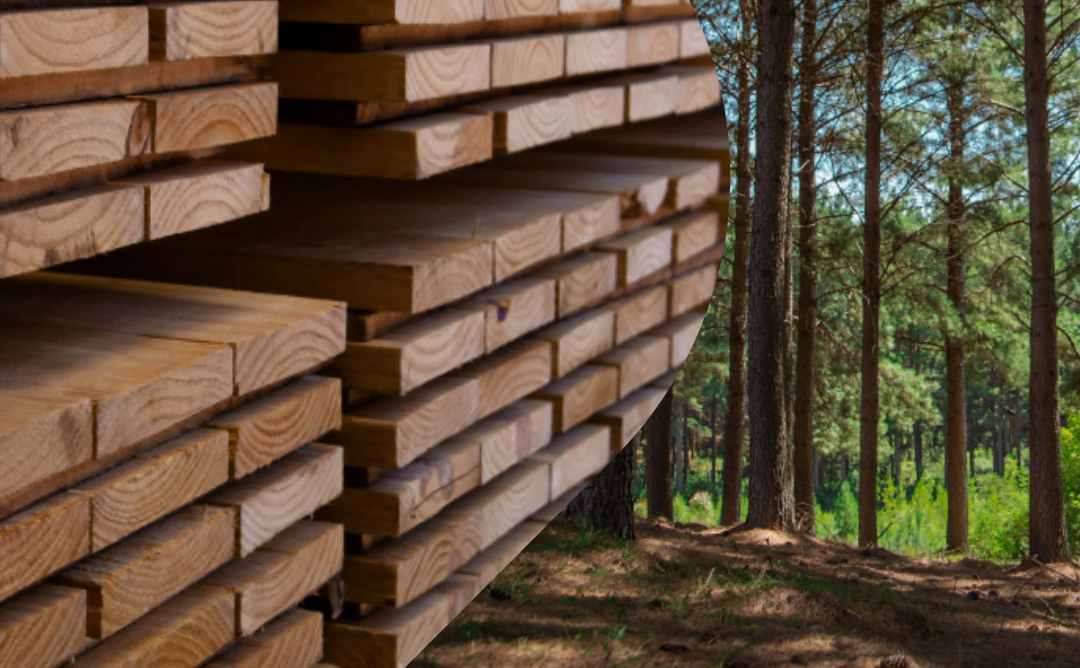 La celulosa será “el principal producto de exportación de Uruguay”.