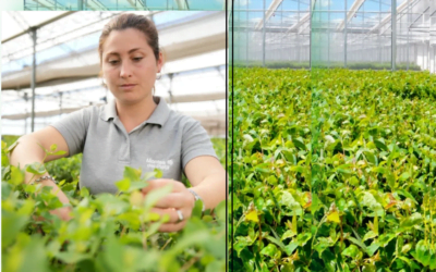 Montes del Plata y el aniversario de la Academia Montes del Plata.