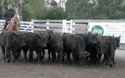 El Campanero, con Montero & Fernández, mostró que siguen afirmándose los valores.
