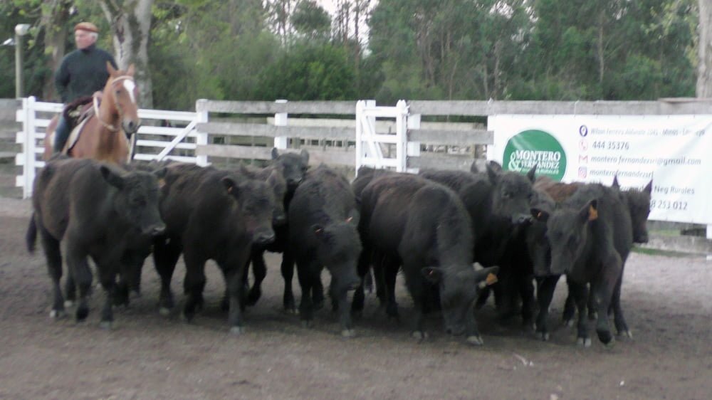 El Campanero, con Montero & Fernández, mostró que siguen afirmándose los valores.