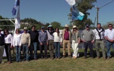 Fernando de la Peña y Megaagro vendieron los toros de Valle Chico y El Toril en US$ 2.571 de promedio.