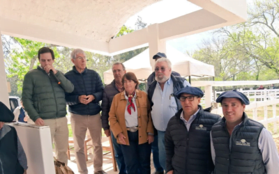 Romualdo & Cía. y Juan Vera SRL remataron los toros de Santa Clara.