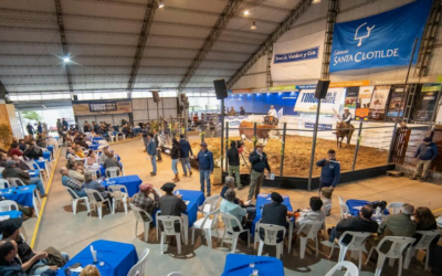 Muy buen remate de Santa Clotilde y El Ceibal.