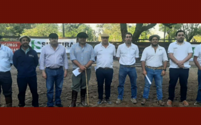 Silveira dispersó todos los toros de Don Juan y El Charco.