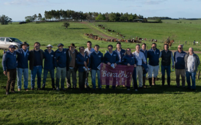 Valdez & Cía. vendió toda la oferta de Berachí.