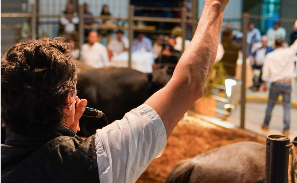 Agenda de remates de Valdez & Cía. para setiembre.