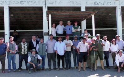 Jaso & Jaso y Daniel Dutra: los toros de Valle del Laurel promediaron US$ 2.542.