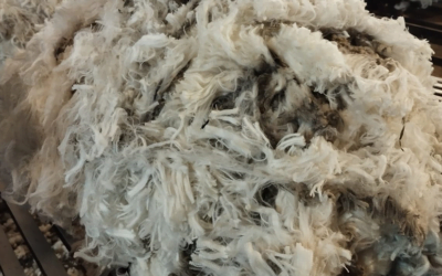 La Expo Salto es “el acontecimiento más importante del norte”.