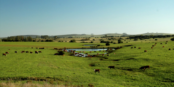 Federación Rural al Banco Mundial: “Uruguay no puede competir por volumen, sino por valor”
